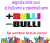 +Belli-Bulli